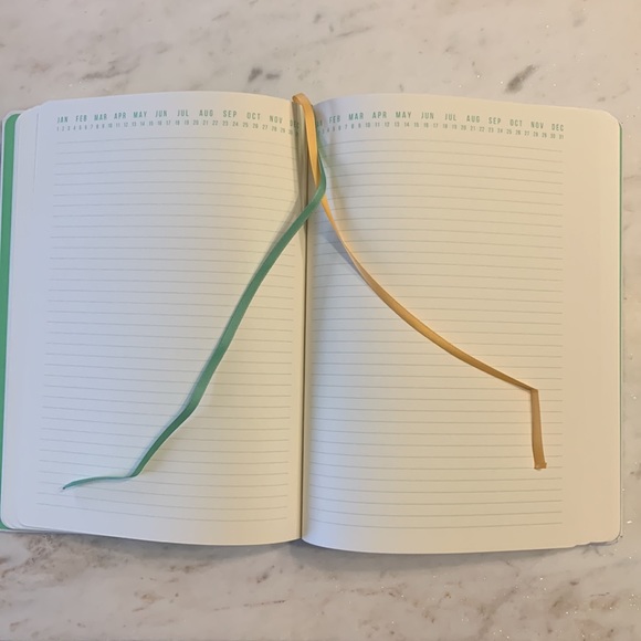 DesignsWorks Ink Undated Lined Journal - Picture 7 of 11